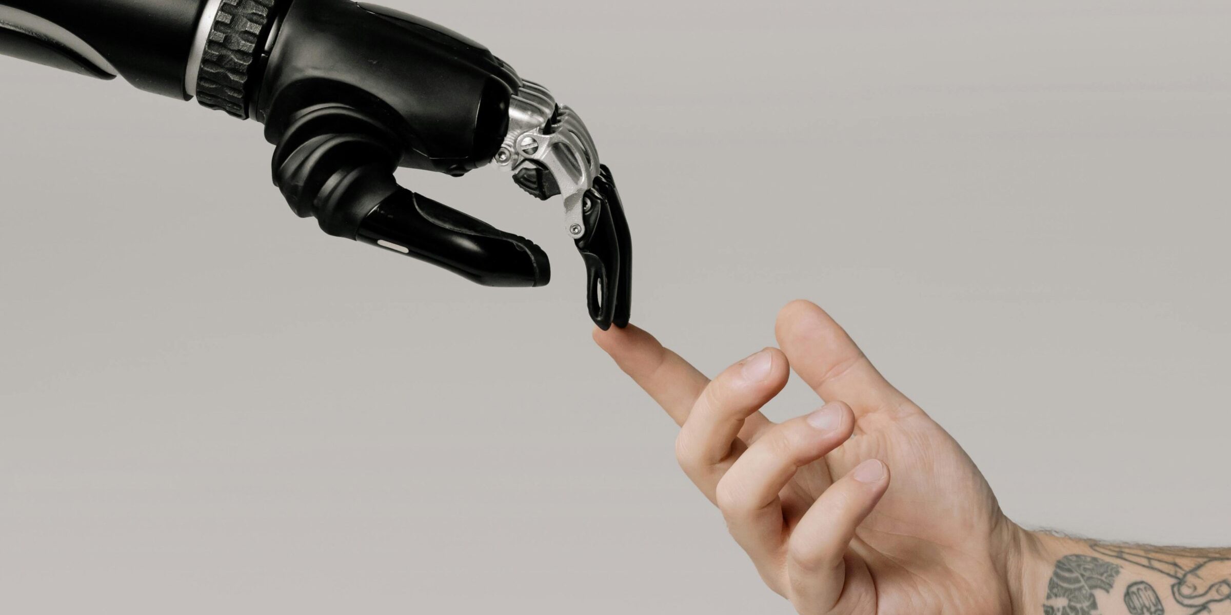 landsc-4×3-cover-z119055