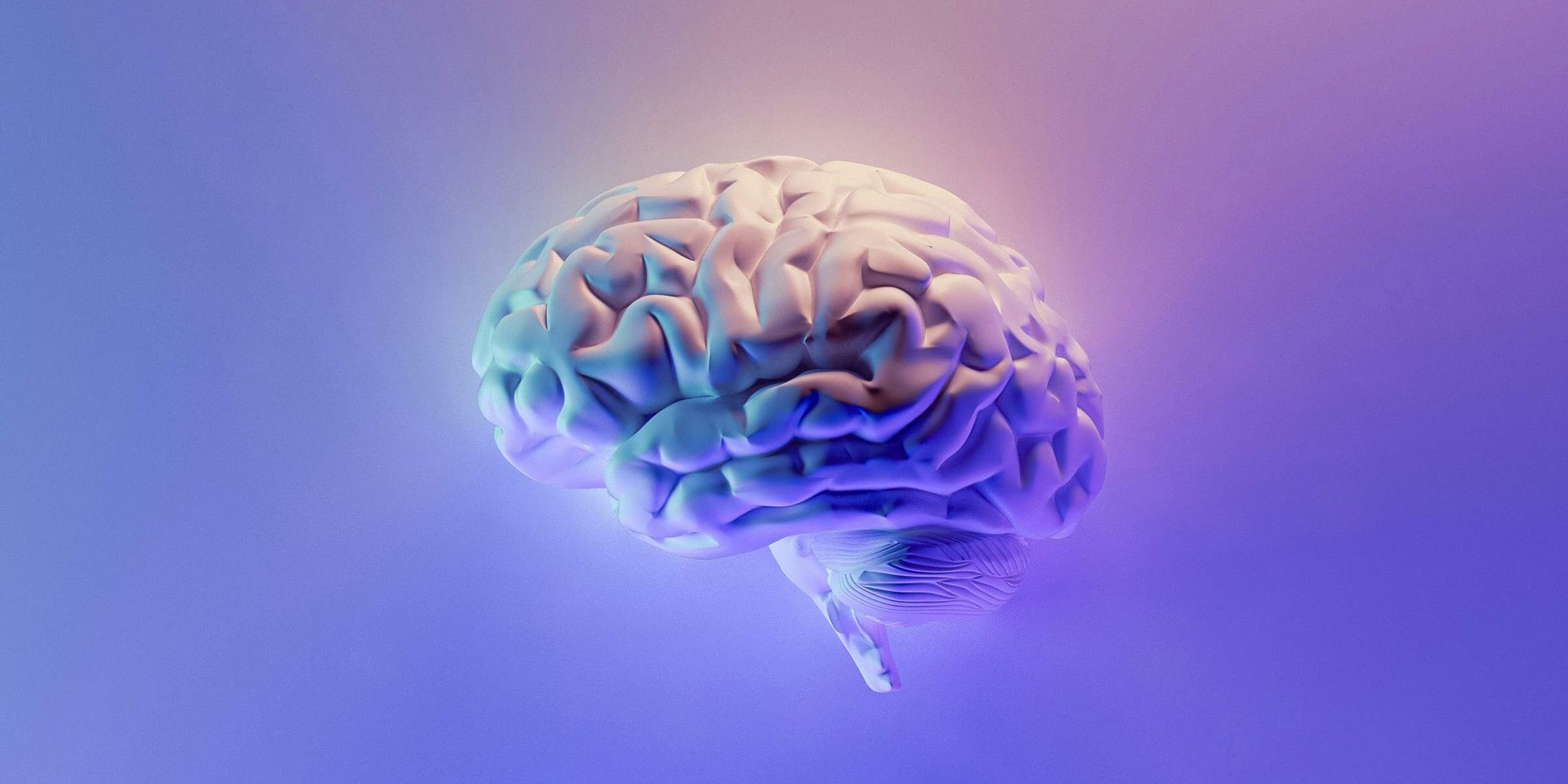 landsc-4×3-cover-z88764